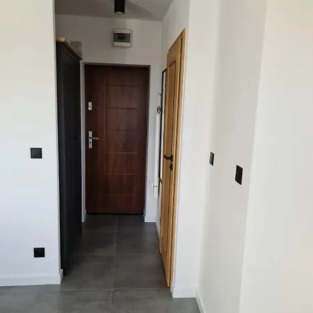 Przy Teatralce Dabrowskiego 30a With Balcony And Free Parking 公寓